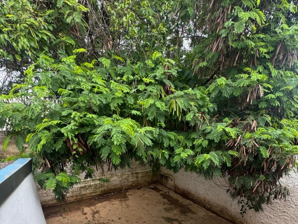 Imóvel residencial Imóvel residencial